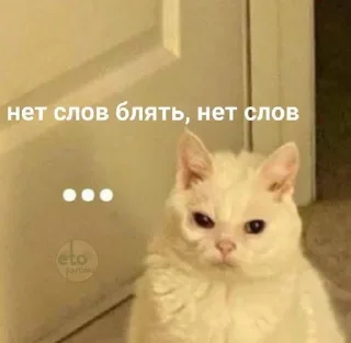 😂 emoji Пиздец @Ctikerubot Telegram sticker 2 of 72