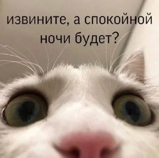 😂 emoji Пиздец @Ctikerubot Telegram sticker 23 of 72