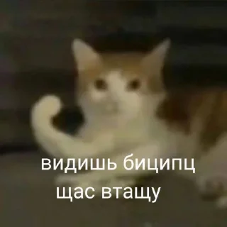 😂 emoji Пиздец @Ctikerubot Telegram sticker 22 of 72