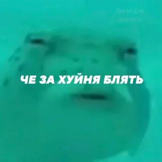 😂 emoji Пиздец @Ctikerubot Telegram sticker 6 of 72