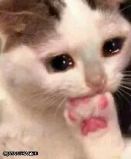 🥺 emoji @VibeKiddsa's TeleBot Vol.1 Telegram sticker 4 of 28