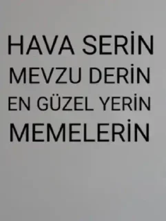 🌟 emoji @hcg21 @AsenaUserBot Paketi 1 Telegram sticker 24 of 120