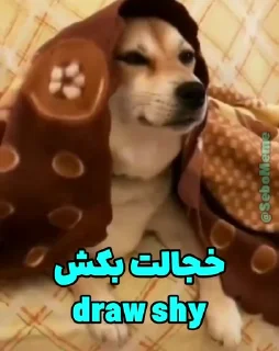 Sticker from @slp_dokhtari | سلپ ۶