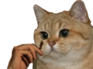 🚬 emoji zinzin 3 par jeanjean Telegram sticker 20 of 117