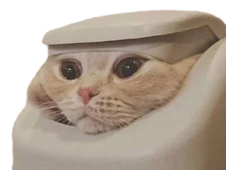👀 emoji zinzin 3 par jeanjean Telegram sticker 9 of 117