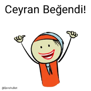 👍 emoji Ceyran @Qonshubot Telegram sticker 20 of 31