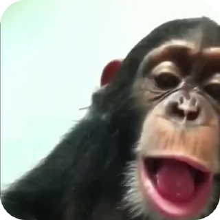 😀 emoji манкис от @monkeylou Telegram sticker 14 of 38
