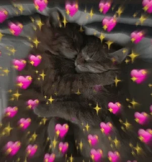 💖 emoji Nani🧸🖤. — @stckrRobot Telegram sticker 6 of 120