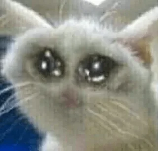 😭 emoji Nani🧸🖤. — @stckrRobot Telegram sticker 13 of 120