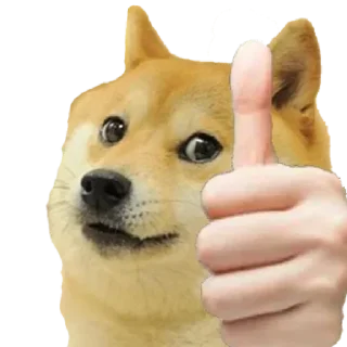 👍 emoji - ᗷY @ahMshY 𓉮 . Doggy Telegram sticker 11 of 77
