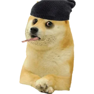 😩 emoji - ᗷY @ahMshY 𓉮 . Doggy Telegram sticker 16 of 77