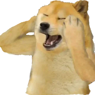 🙁 emoji - ᗷY @ahMshY 𓉮 . Doggy Telegram sticker 23 of 77