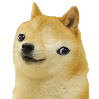 🧐 emoji - ᗷY @ahMshY 𓉮 . Doggy Telegram sticker 22 of 77