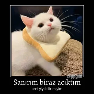 🤔 emoji @Kmaterns @AsenaUserBot Paketi 3 Telegram sticker 7 of 77