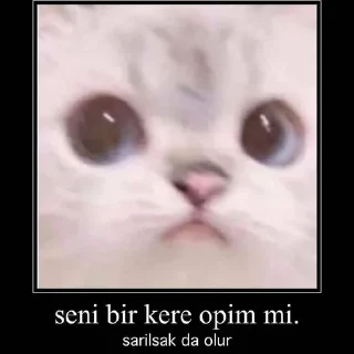 🤔 emoji @Kmaterns @AsenaUserBot Paketi 3 Telegram sticker 2 of 77
