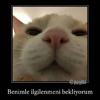 🤔 emoji @Kmaterns @AsenaUserBot Paketi 3 Telegram sticker 9 of 77