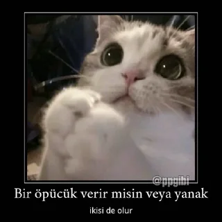 🤔 emoji @Kmaterns @AsenaUserBot Paketi 3 Telegram sticker 15 of 77