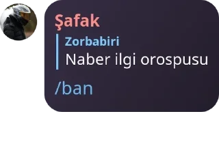 🐤 emoji Çete Ailesi ✨ pack by @QuotLyBot Telegram sticker 18 of 120