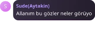 Sticker from Çete Ailesi ✨ pack by @QuotLyBot