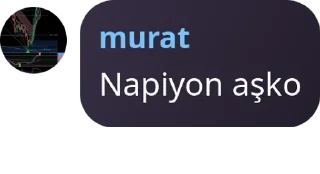 🦡 emoji Çete Ailesi ✨ pack by @QuotLyBot Telegram sticker 15 of 120