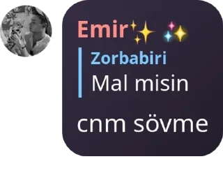 👃 emoji Çete Ailesi ✨ pack by @QuotLyBot Telegram sticker 7 of 120