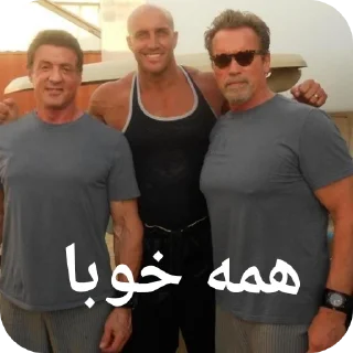 👍 emoji Gmale Arnold Telegram sticker 6 of 77