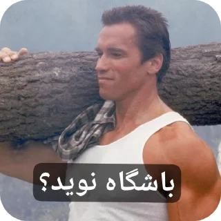 👍 emoji Gmale Arnold Telegram sticker 24 of 77