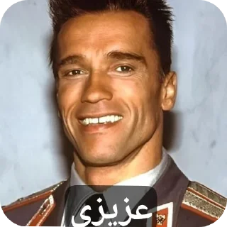 👍 emoji Gmale Arnold Telegram sticker 20 of 77