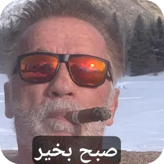 👍 emoji Gmale Arnold Telegram sticker 17 of 77