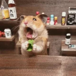 Sticker from Hamster.