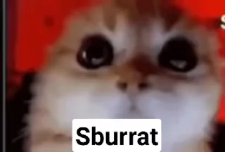 ❤ emoji V7 Animated (@SirRobMagnusTheFourth) — @stckrRobot Telegram sticker 24 of 43