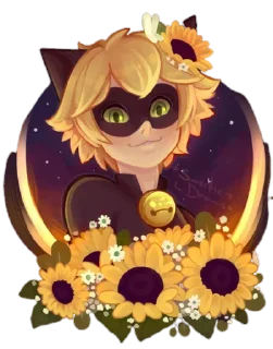 Sticker from Cat Noir -  Miraculous : @Characters_stickers