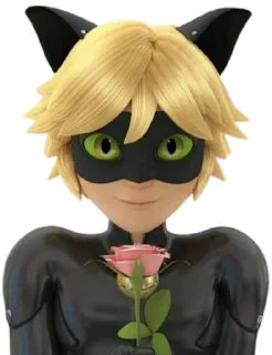Sticker from Cat Noir -  Miraculous : @Characters_stickers