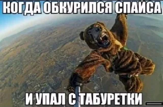 Sticker from Гейбомба 2 @rosttislavvv