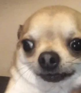 🦦 emoji フィラs kang pack 1 Telegram sticker 16 of 21