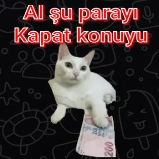 👍 emoji Hatice Telegram sticker 11 of 120