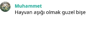 🥰 emoji Hatice Telegram sticker 6 of 120