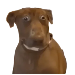 😳 emoji @... Telegram sticker 7 of 14