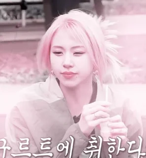 Sticker from chaeyoung & @anniesticks