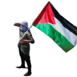 Sticker from ملصقات قناة نبض الأوطان 💚