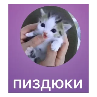 ❤ emoji Milena chat @valera_cool Telegram sticker 7 of 92