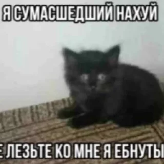 🤩 emoji — строго не брать @wwkitsch @TgEmodziBot Telegram sticker 11 of 31