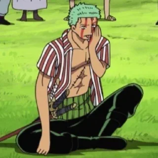 🎋 emoji zoro roronoa | @longroadtohell Telegram sticker 18 of 80