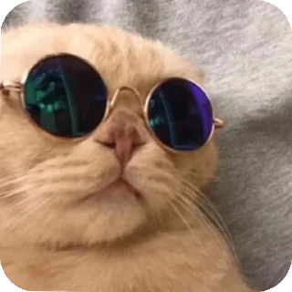 😎 emoji @E_5_W7 / @X_7_7_S Telegram sticker 8 of 90