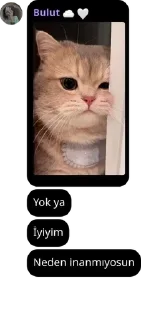 Sticker from I'm always alone pack by @QuotLyBot