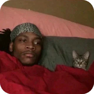 Sticker from Meow meow nigga
