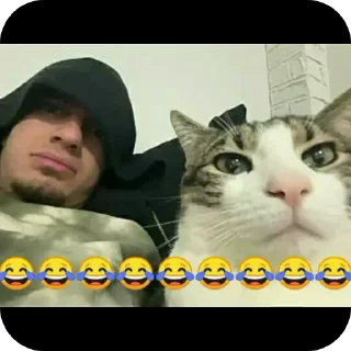 Sticker from Meow meow nigga