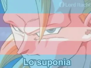Sticker from Lo suponia