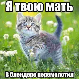 Sticker from Хуета @pypsikstick