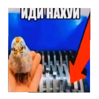 Sticker from еееее @jalublukentow